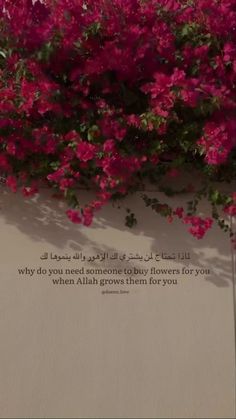 pink flowers growing on the side of a building with an islamic quote written in arabic