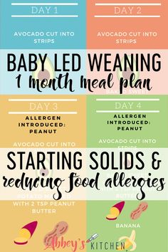 the baby led weaning meal plan is shown in four different colors and sizes