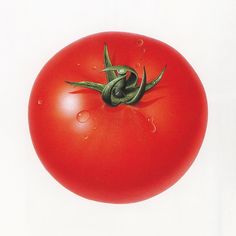 a drawing of a tomato with water droplets on it