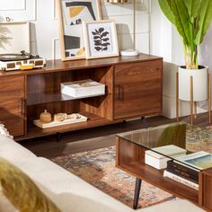 a living room filled with furniture and a potted plant on top of a table