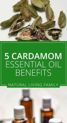 UNLEASHING THE HEALTH BENEFITS OF CARDAMOM ESSENTIAL OIL Benefits Of Cardamom, Cardamom Plant, Cardamom Essential Oil, Cinnamon Benefits, Growing Healthy Hair, Essential Oil Benefits, Bug Bites