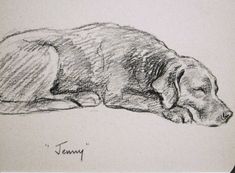 a black and white drawing of a sleeping dog