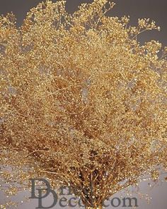 a tree with yellow leaves on it in the middle of a gray sky background,