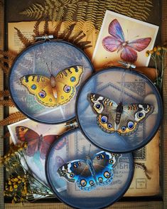 three butterflies are sitting on glass plates with pictures in the background and flowers around them