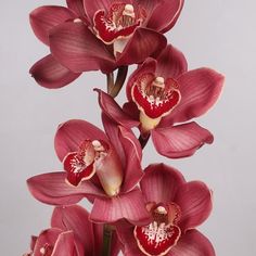 red flowers are in a vase on a table