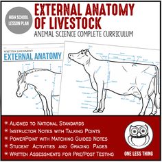 the external anatomy of an animal with instructions for each student to use in this lesson