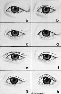 While Caucasians search ‘How to stop eyeshadow from creasingAsians typically search ‘How to fake a crease with eyeshadowBefore I got more serious into makeupI only knew I had double eyelidsCrease…whatThe only crease I knew was the kind of crease found on a crumpled piece of paperBut before I start...Read More Monolid Vs Double Eyelid, How To Draw Hooded Eyes, Monolid Eyes Drawing, Hooded Eye Drawing, Hooded Eyes Drawing, Eyelids Drawing, Eyelid Types, Caucasian Makeup, Heavy Eyelids