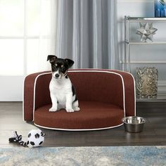 a small dog sitting on top of a brown and white couch next to a metal bowl