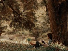 a person sitting under a tree with a book in their hand and looking at the ground