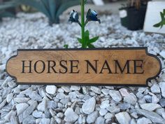 a wooden sign that says horse name sitting on top of some rocks next to a plant