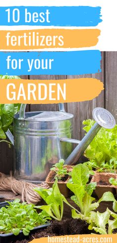 gardening tools and plants with the words 10 best fertilizers for your garden