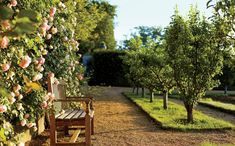 a wooden bench sitting in the middle of a garden filled with trees and flowers on either side of it