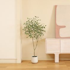 a potted plant sitting on top of a wooden table next to a white cabinet