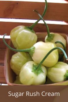 a bowl filled with green peppers sitting on top of a wooden bench