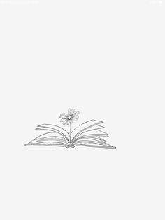 an open book with a single flower on top