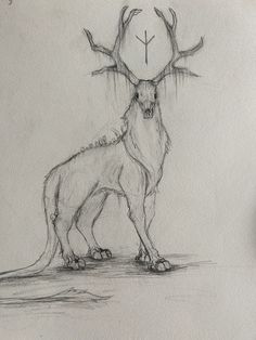 a drawing of a deer with horns on it's head standing next to another animal