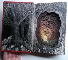 a hand holding an open book with trees in the middle and light at the end