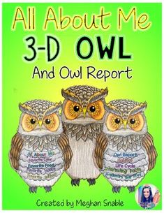 an owl book with three owls sitting on top of each other, all about me 3 - d owl and owl report