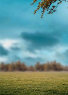 an empty field with trees and clouds in the background