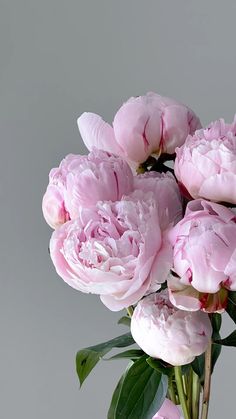 a vase filled with pink flowers on top of a table