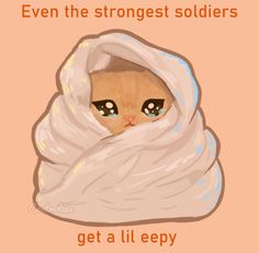 an image of a cat wrapped in a blanket with the caption even the strongest soldiers get a lileepy