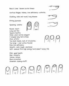 the instructions for how to draw nails with different shapes and sizes, including long fingernails