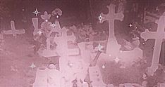 an aerial view of a cemetery with crosses and stars