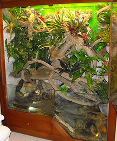 a fish tank filled with lots of plants in a living room next to a toilet