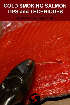 Learn How To Make Velvety, Luscious Cold Smoked Salmon at Home. Smoker Cooking Recipes