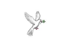 a white bird flying through the air with a green twig in it's beak