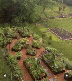 an aerial view of a garden with many plants