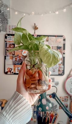 a person holding a glass jar filled with plants