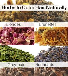 Hair Color Recipes, Homemade Hair Color, Darken Hair Naturally, Chamomile Hair, Coffee Hair Dye, Lighten Hair Naturally, Hair Henna, Lighten Hair