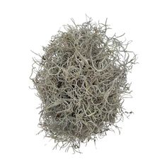 a pile of dry grass on a white background