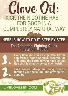 Kick the Habit with Clove Oil Clove Benefits, Coconut Oil For Dogs, Clove Essential Oil, Essential Oils Guide, Clove Oil, Benefits Of Coconut Oil, Essential Oil Benefits, Essential Oil Diffuser Blends, Doterra Oils