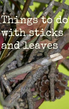 a bunch of sticks and leaves with the words things to do with sticks and leaves