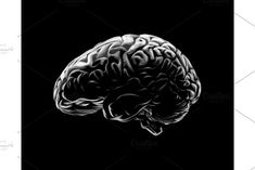 the human brain is shown in black and white - stock photo - photoshopped