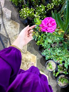 a woman in purple dress holding up a pink flower next to potted green plants