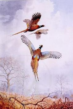 two pheasants flying in the sky above trees