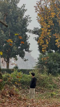 a man standing on top of a leaf covered field next to trees and bushes in the fall