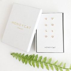 the honeycat jewelry box sits next to a green plant and its packaging is open