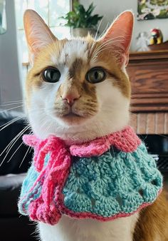 a cat is wearing a pink and blue knitted scarf around it's neck