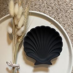 a white plate topped with a black scallop next to a dried plant on top of a carpeted floor