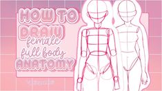 how to draw female full body anatomy