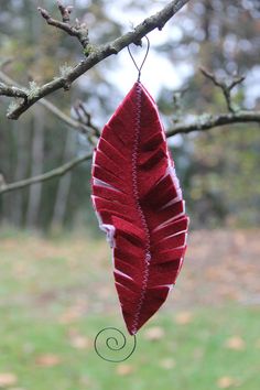 a red feather hanging from a tree branch