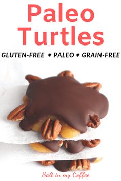 the cover of paleo turtles gluten - free, paleo grain - free