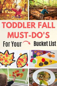 toddler fall must - do's for your bucket list with pictures of leaves