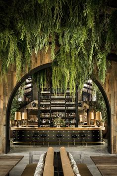 the interior of a restaurant with benches and plants hanging from the ceiling, along with shelves full of wine bottles