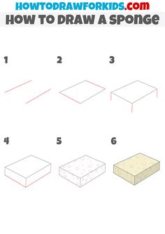 how to draw a sponge step by step instructions for kids