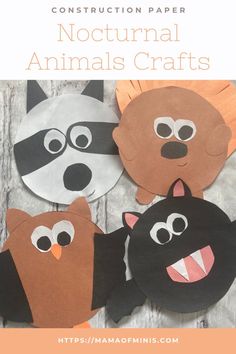 paper plate animal crafts for kids with text overlay that says construction paper nocturnnal animals crafts